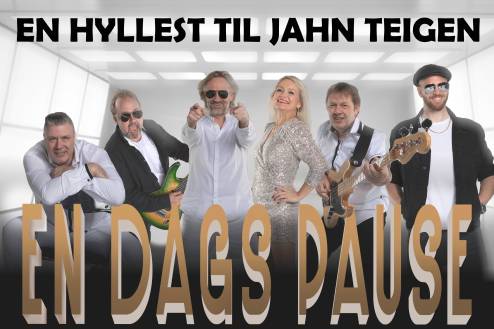 En dags pause