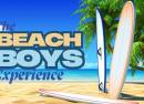 Beach Boys Inc