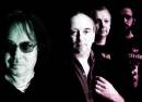 The Legendary Pink Dots