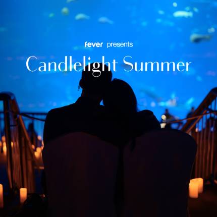 Candlelight Plymouth A Tribute to Queen at the Aquarium