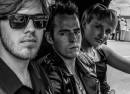 The Joeys