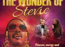 The Wonder of Stevie