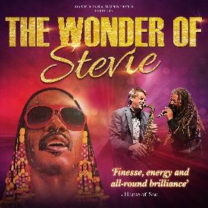 The Wonder of Stevie
