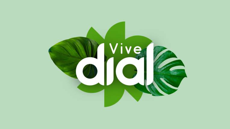 Vive Dial