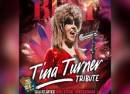 Tributo a Tina Turner