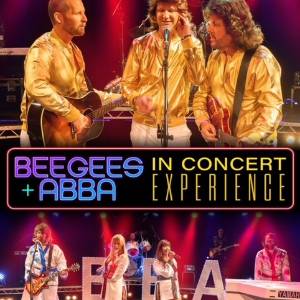 ABBA in Concert Experience