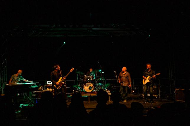 Nighthawks