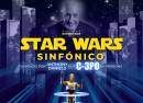 Synfonico Experience