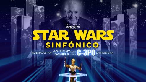 Synfonico Experience