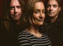 Spiderbait