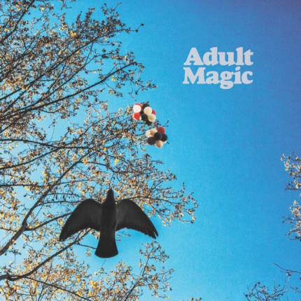 Adult Magic