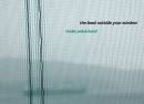 Thalia Zedek Band