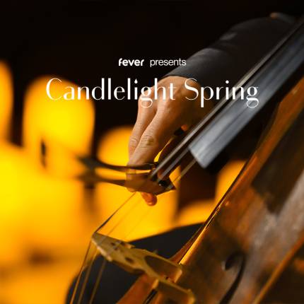 Candlelight Spring A Tribute to Queen at Palm House