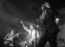 Gentleman's Dub Club