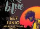 Afroblue Festival en Segovia