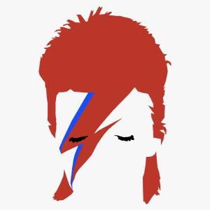 Aladdinsane David Bowie Tribute