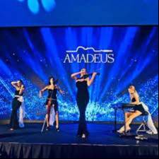 Amadeus Christmas Show