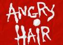 Angry Hair