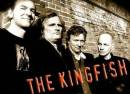 Kingfish