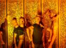 The Faint