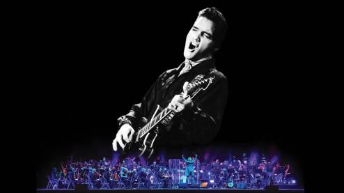 Elvis In Concert