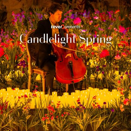 Candlelight Spring A Tribute to Pink Floyd