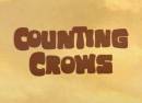 Counting Crows