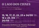 Balé O Lago dos Cisnes