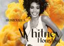 Homenaje a Whitney Houston en Espacio Broadway