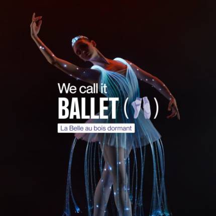 We call it Ballet la Belle au bois dormant, danse et spectacle de lumière