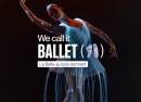 We call it Ballet la Belle au bois dormant, danse et spectacle de lumière