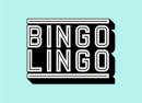 Bingo Lingo: The Christmas Craic-ker