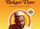 Bokani Dyer