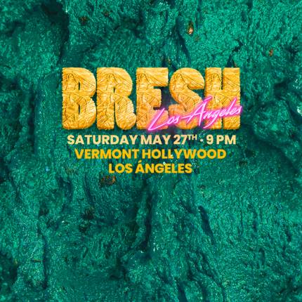 BRESH The Most Beautiful Party in the World