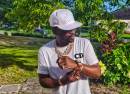 Busy Signal