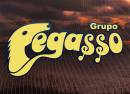 Grupo Pegasso