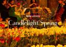 Candlelight Spring Tribute to Nirvana