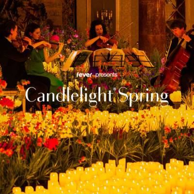 Candlelight Spring Tribute to Nirvana