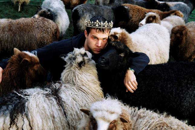 Kingtommi