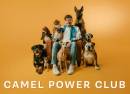 Camel Power Club