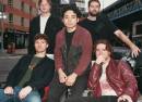 The Vacants