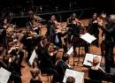 NOORD NEDERLANDS ORKEST