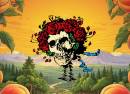 Live Dead & Brothers