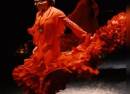 Flamenco Barcelona City Hall