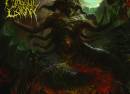 Maggot Colony