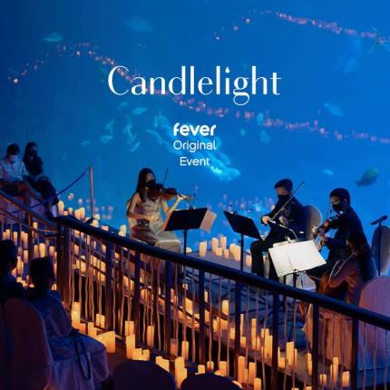 Candlelight Best of Joe Hisaishi at S.E.A. Aquarium