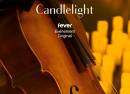 Candlelight Les 4 Saisons de Vivaldi à la Basilique Notre-Dame