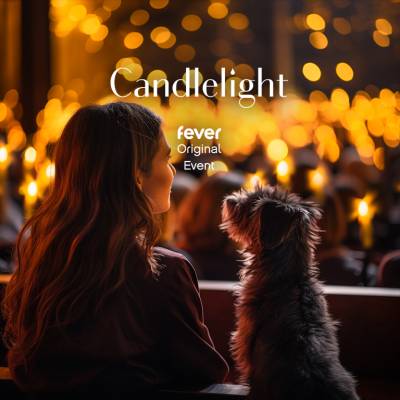 Candlelight Paws A Dog-Friendly Classical Concert