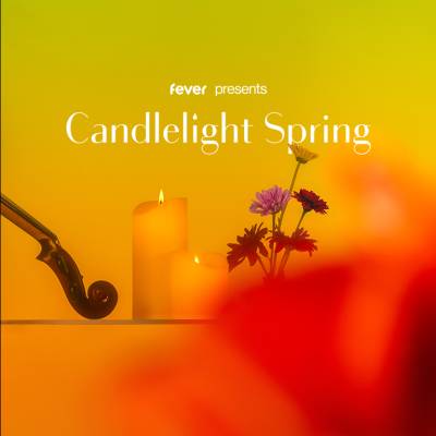 Candlelight Spring A Tribute to Ed Sheeran