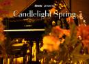 Candlelight Spring A Tribute to Linkin Park
